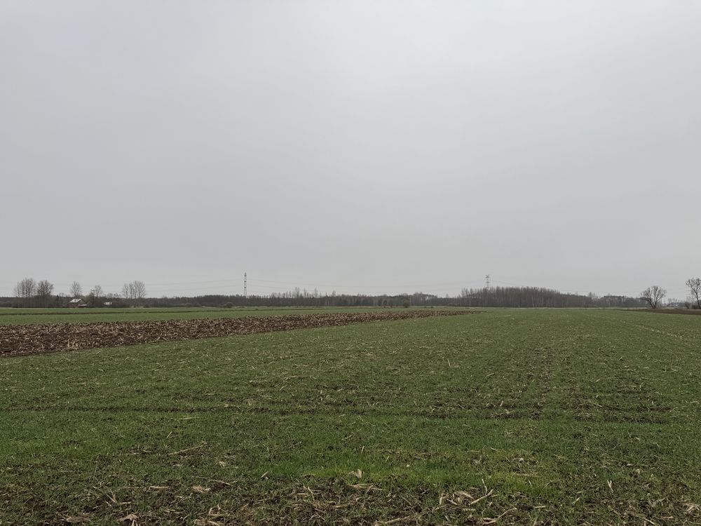 Działka rolno-budowlana Breń Osuchowski. Zdjęcie 1