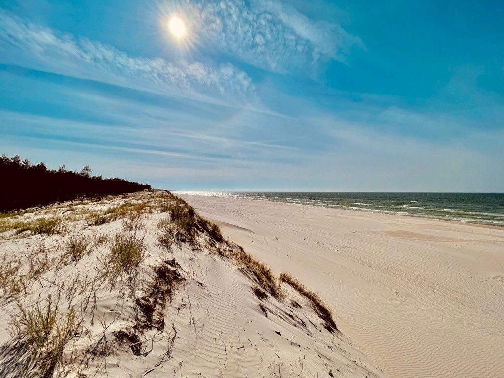 Działka budowlana Sarbsk, ul. Przybrzeże. Zdjęcie 13