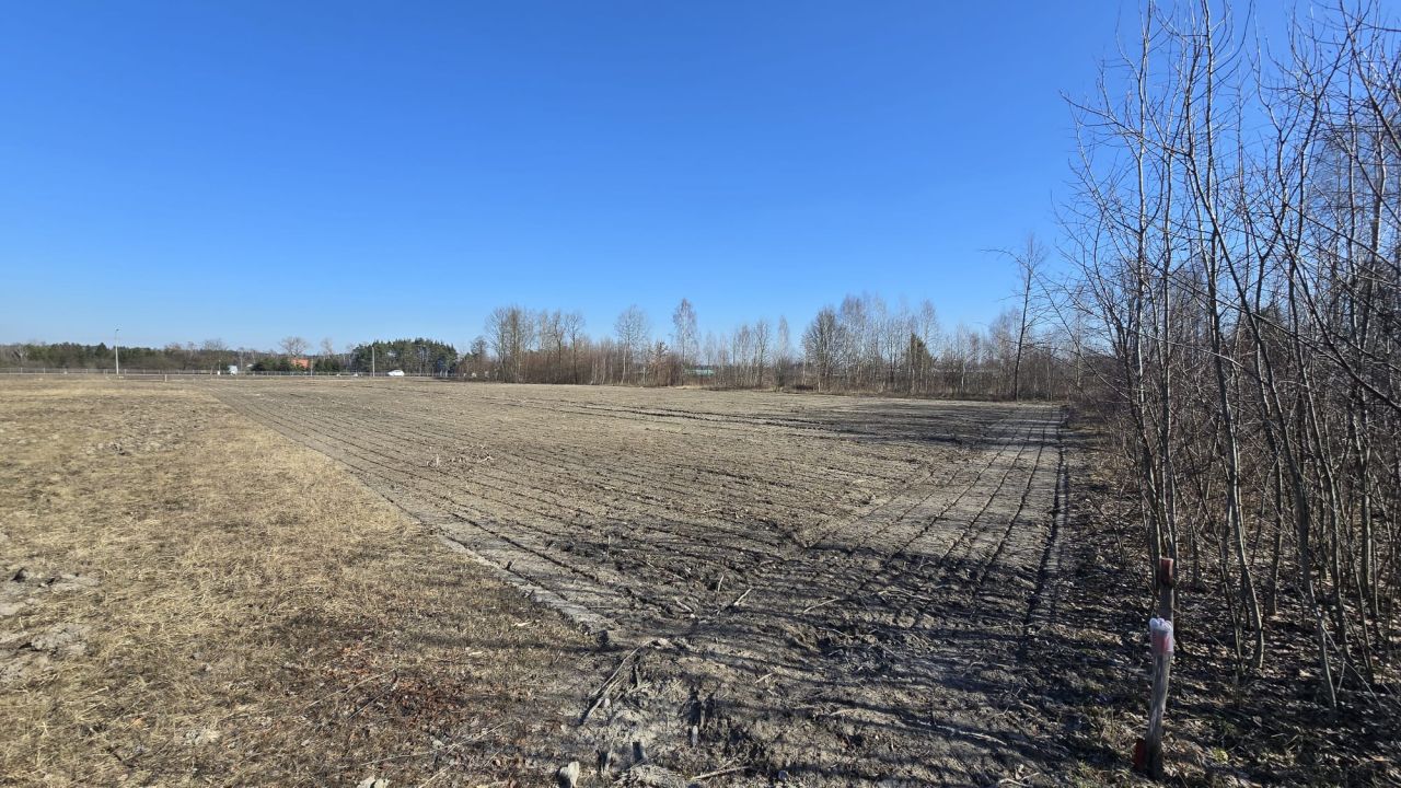 Działka inwestycyjna Chrośla, ul. Warszawska. Zdjęcie 8