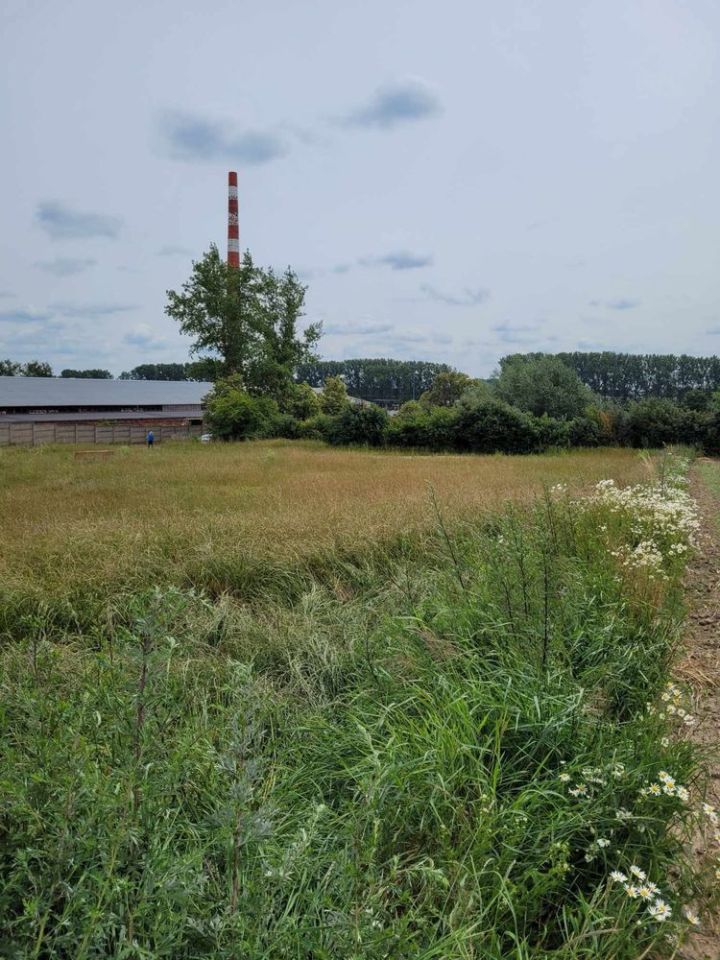 Działka budowlana Przysieka Polska. Zdjęcie 7