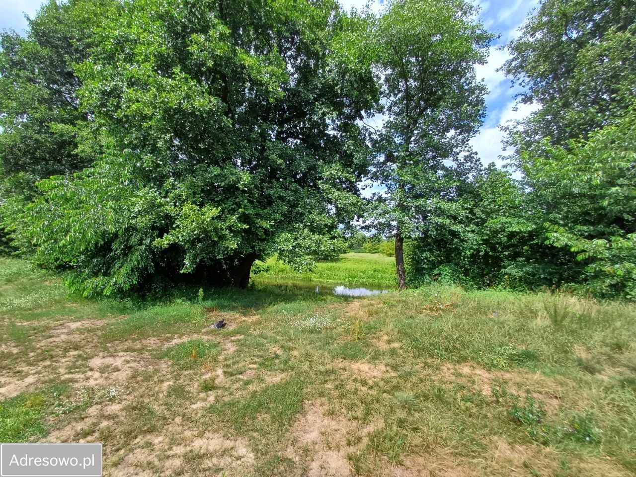 Działka rolno-budowlana Wola Karczewska, ul. Rzeki. Zdjęcie 8