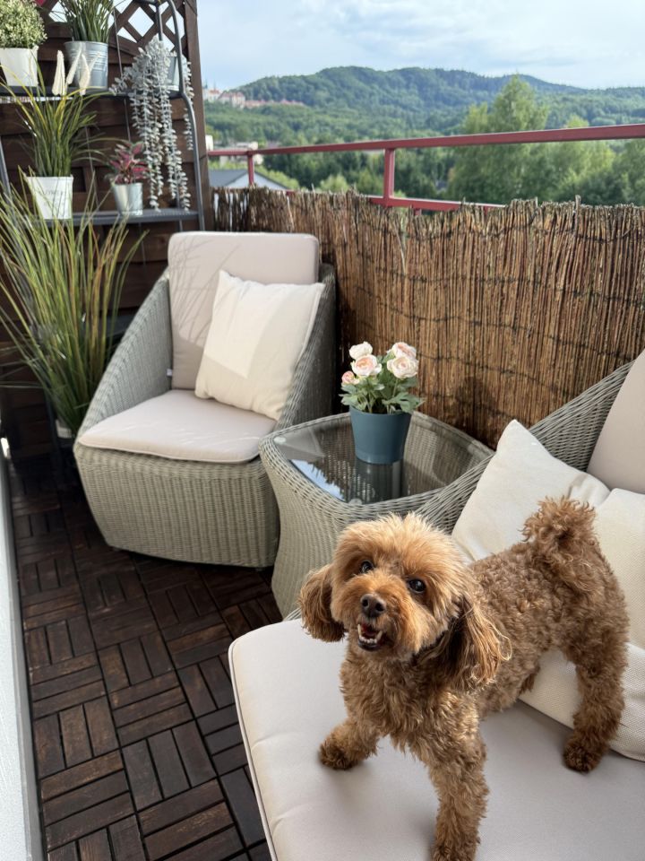 Mieszkanie 3-pokojowe Kalwaria Zebrzydowska Rólki, ul. Władysława Broniewskiego. Zdjęcie 15