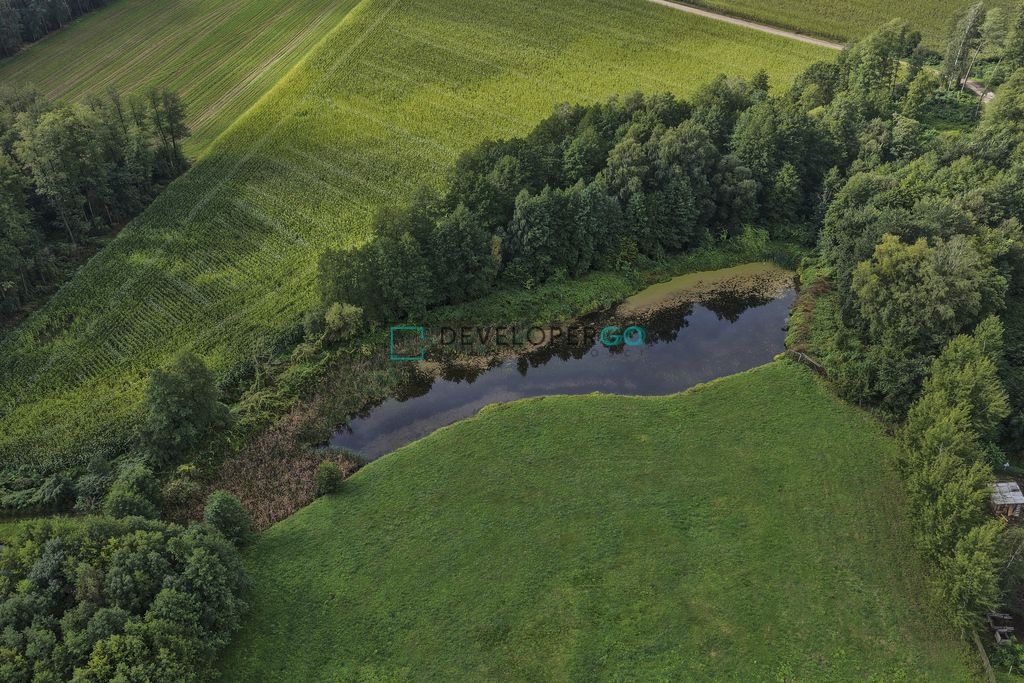 siedlisko, 4 pokoje Zalesie-Poczynki. Zdjęcie 4