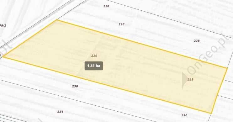 Działka rolna Kotlice. Zdjęcie 5