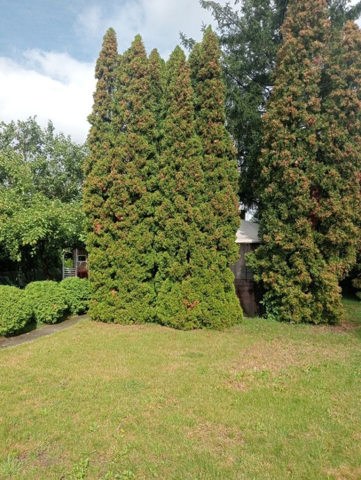 Działka rod Inowrocław. Zdjęcie 7