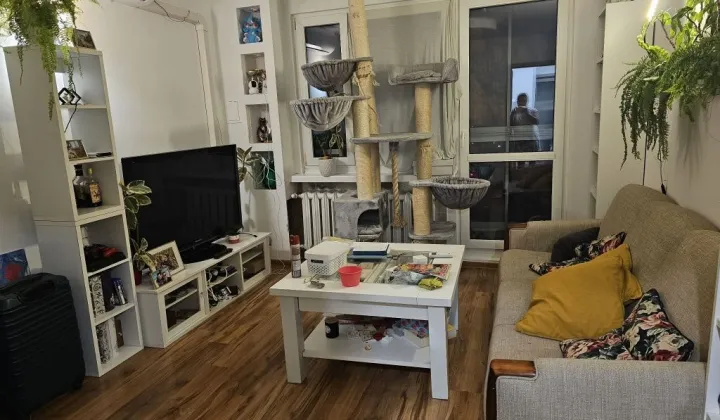 Mieszkanie 3-pokojowe Łódź Olechów