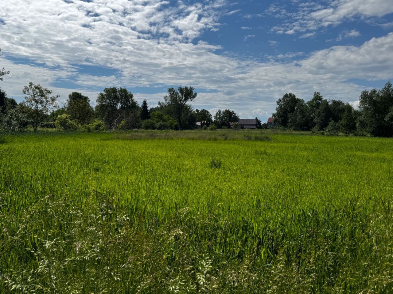 Działka rolna Kraków Nowa Huta. Zdjęcie 7