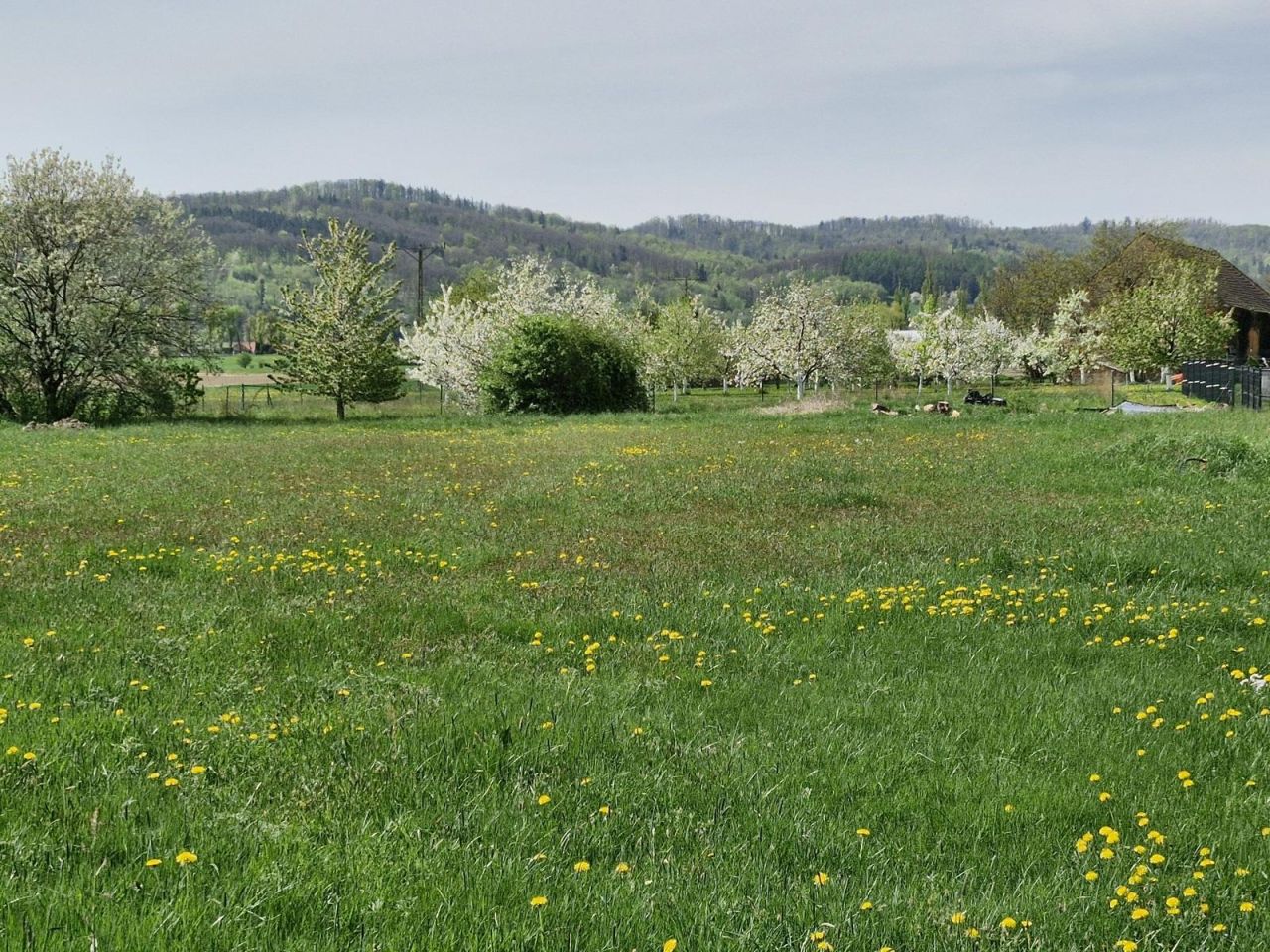 Działka budowlana Brzeźnica. Zdjęcie 5