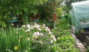 Działka rod Lublin, ul. Wapienna