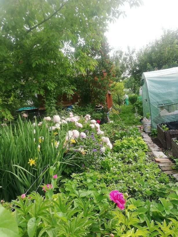 Działka rod Lublin, ul. Wapienna. Zdjęcie 2