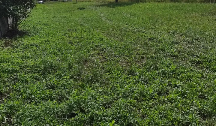 Działka budowlana Biłgoraj, ul. Polna/Makowa