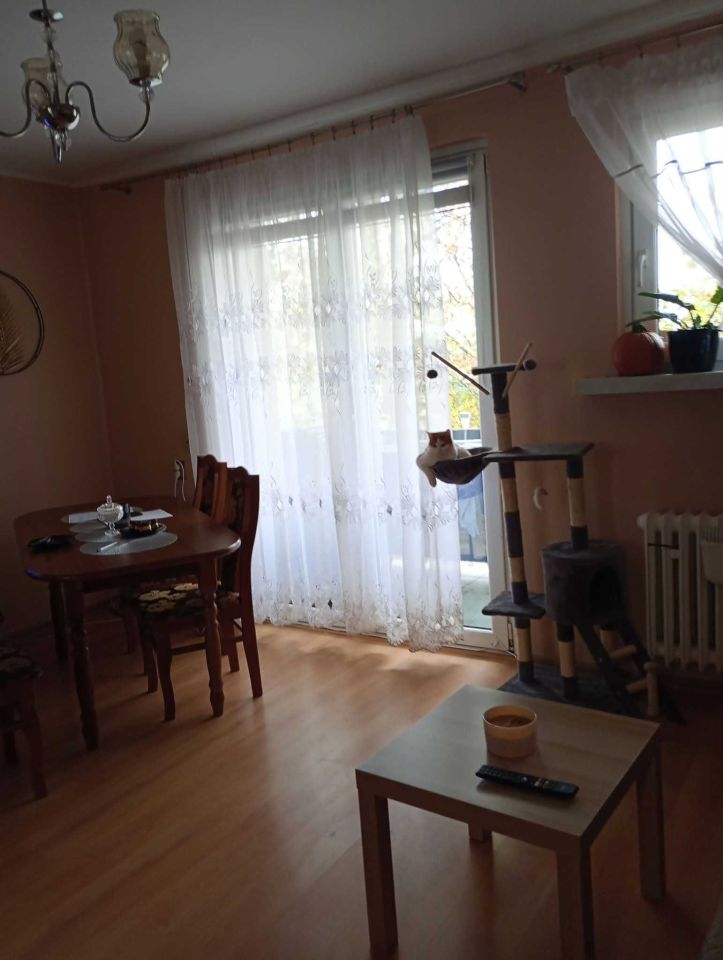 Mieszkanie 1-pokojowe Świecie, ul. Kościuszki. Zdjęcie 1