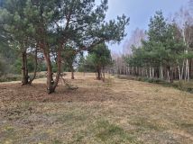 Działka rolno-budowlana Jesionka. Zdjęcie 1