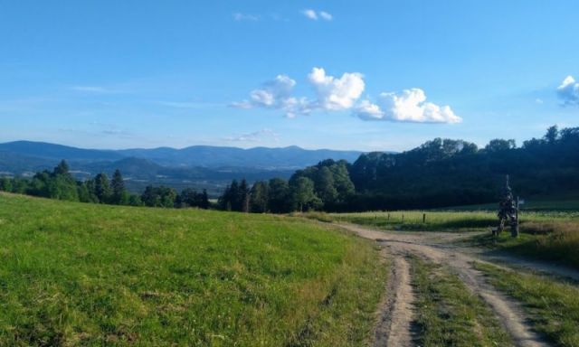 Działka inwestycyjna Dziwiszów. Zdjęcie 1