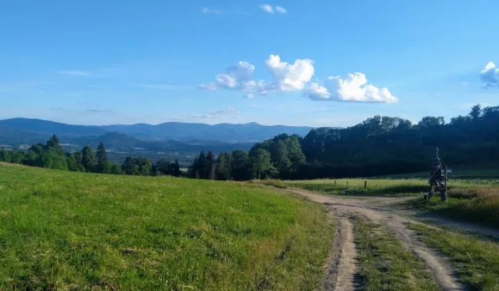 Działka inwestycyjna Dziwiszów