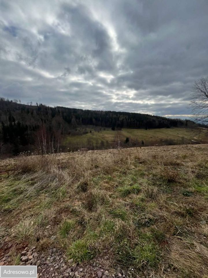 Działka rolna Bieganów. Zdjęcie 5