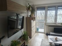 Mieszkanie 2-pokojowe Sosnowiec Zagórze. Zdjęcie 4