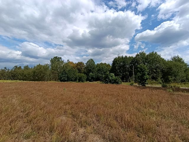 Działka rolno-budowlana Jaźwie, ul. Rodziny Majewskich. Zdjęcie 1