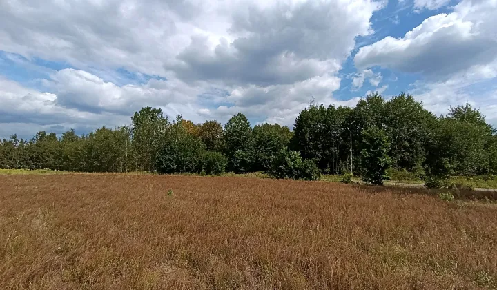 Działka rolno-budowlana Jaźwie, ul. Rodziny Majewskich