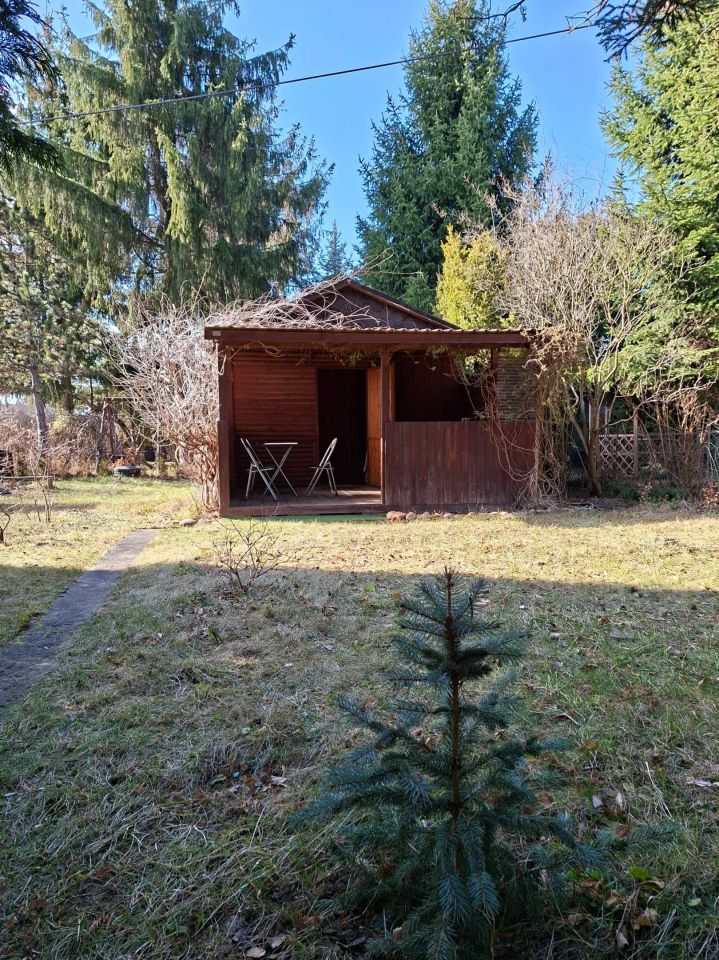 Działka rod Nadarzyn, ul. Żółwińska. Zdjęcie 7