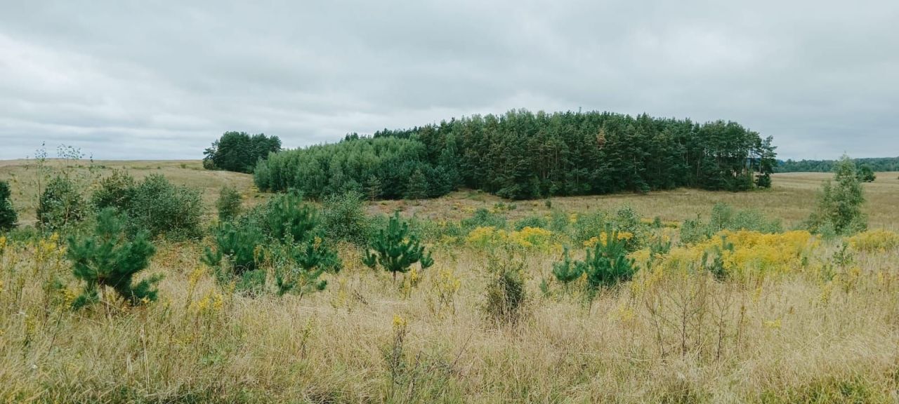 Działka rolno-budowlana Romany. Zdjęcie 7
