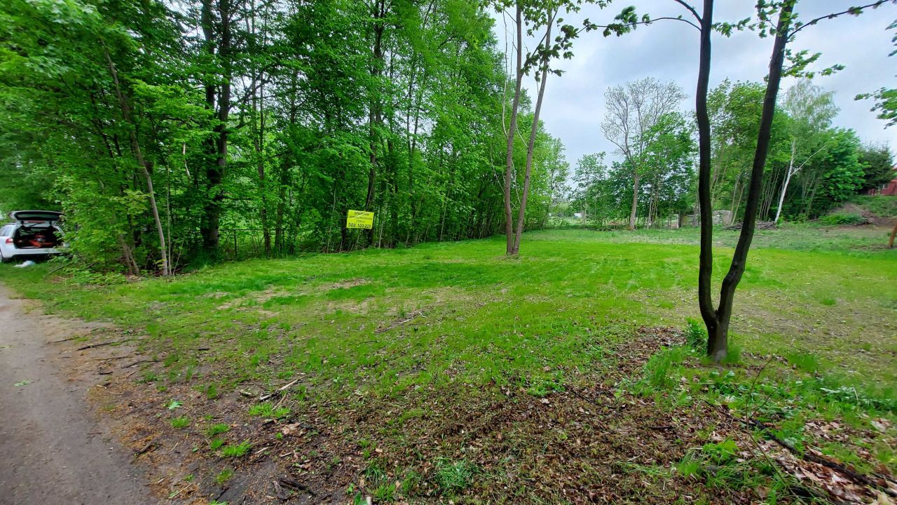 Działka budowlana Pasym. Zdjęcie 4