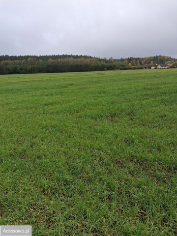 Działka budowlana Muszaki. Zdjęcie 1