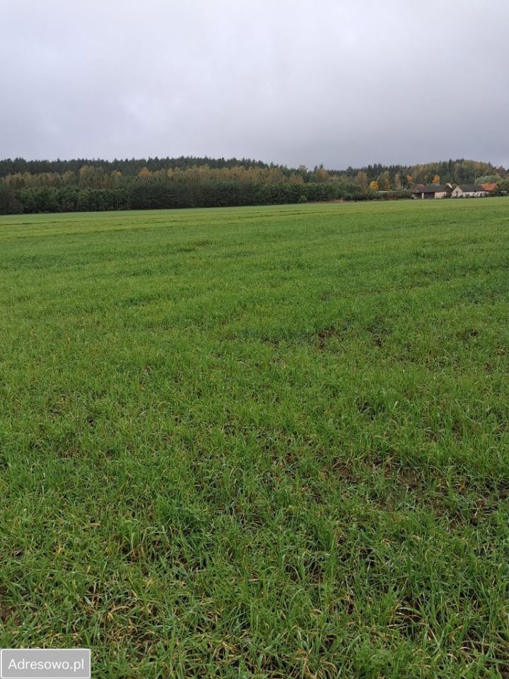 Działka budowlana Muszaki