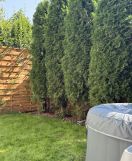 Mieszkanie 2-pokojowe Łódź Górna, ul. Graniczna. Zdjęcie 1