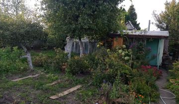 Działka rod Międzyrzecz, ul. Piastowska