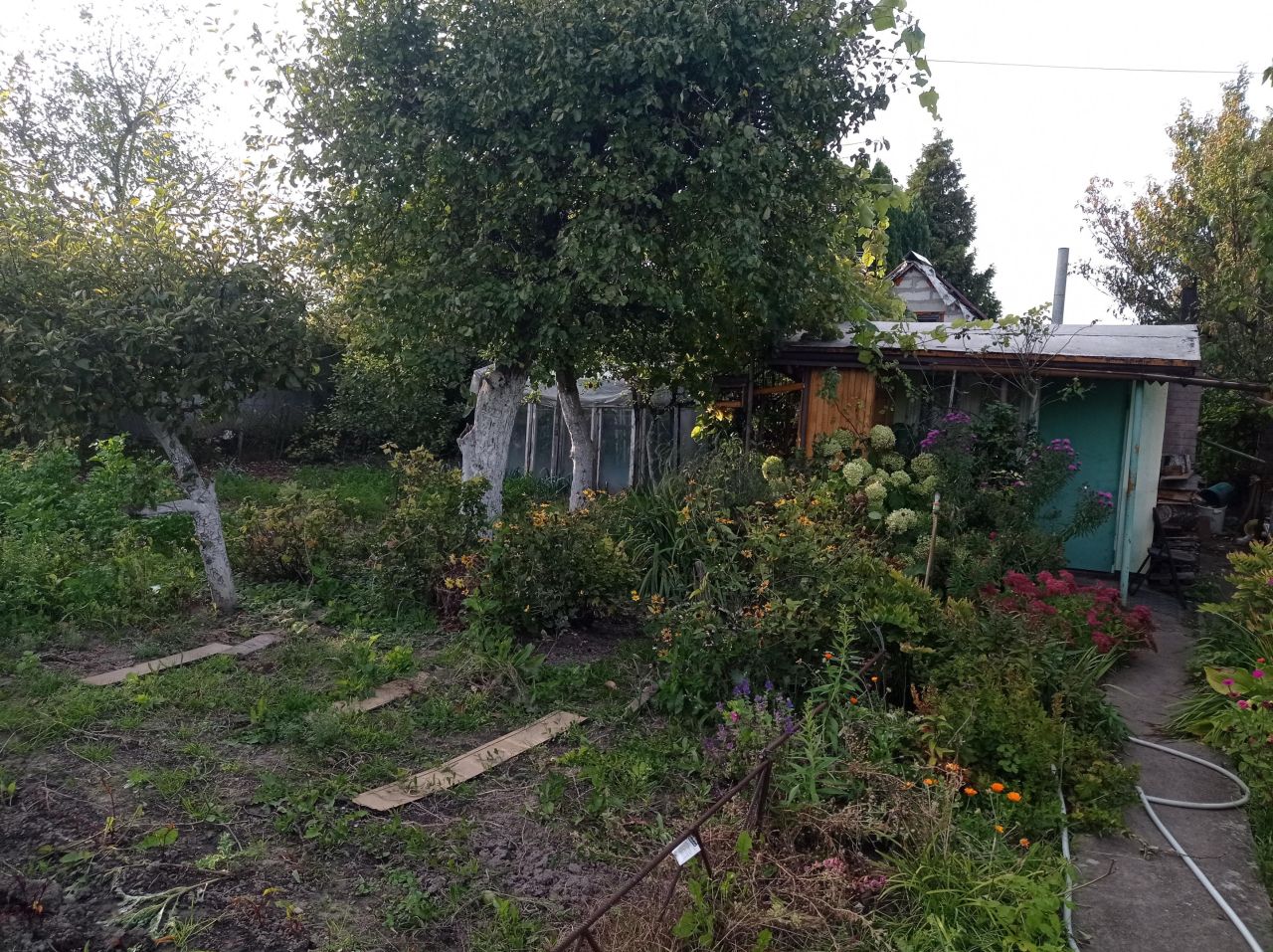 Działka rod Międzyrzecz, ul. Piastowska. Zdjęcie 2