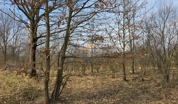 Działka budowlana Marcyporęba