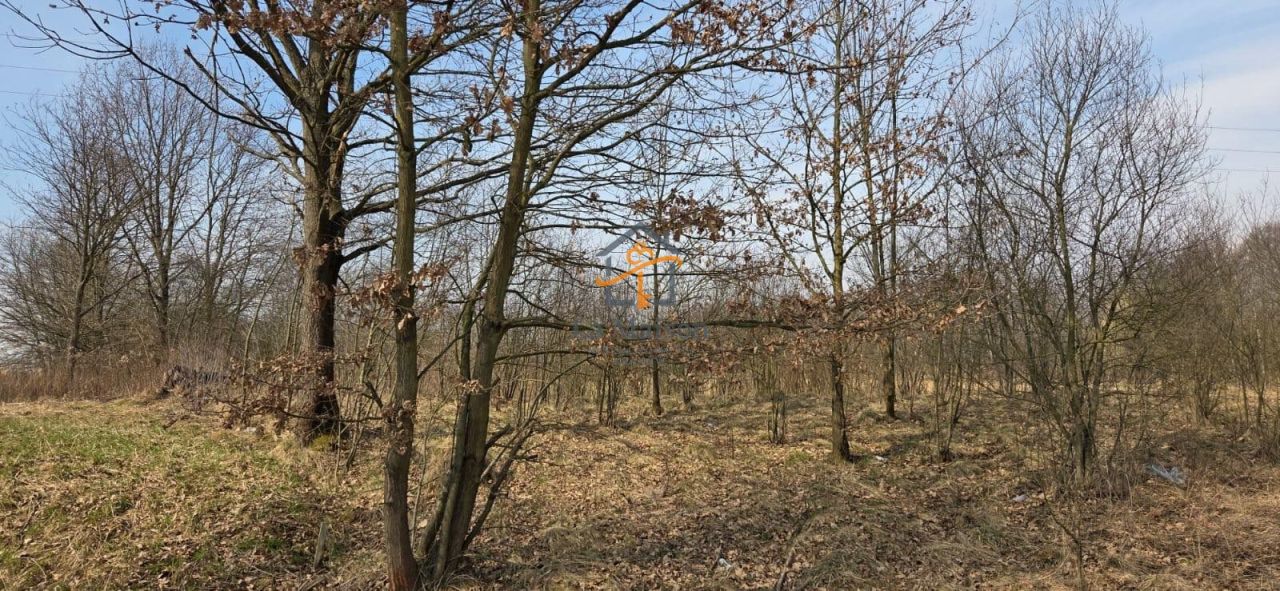 Działka budowlana Marcyporęba. Zdjęcie 1