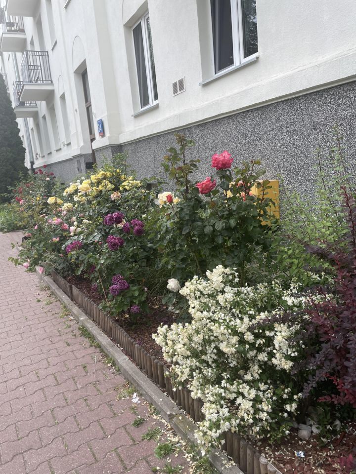Mieszkanie 3-pokojowe Warszawa Ochota, ul. Opaczewska. Zdjęcie 14