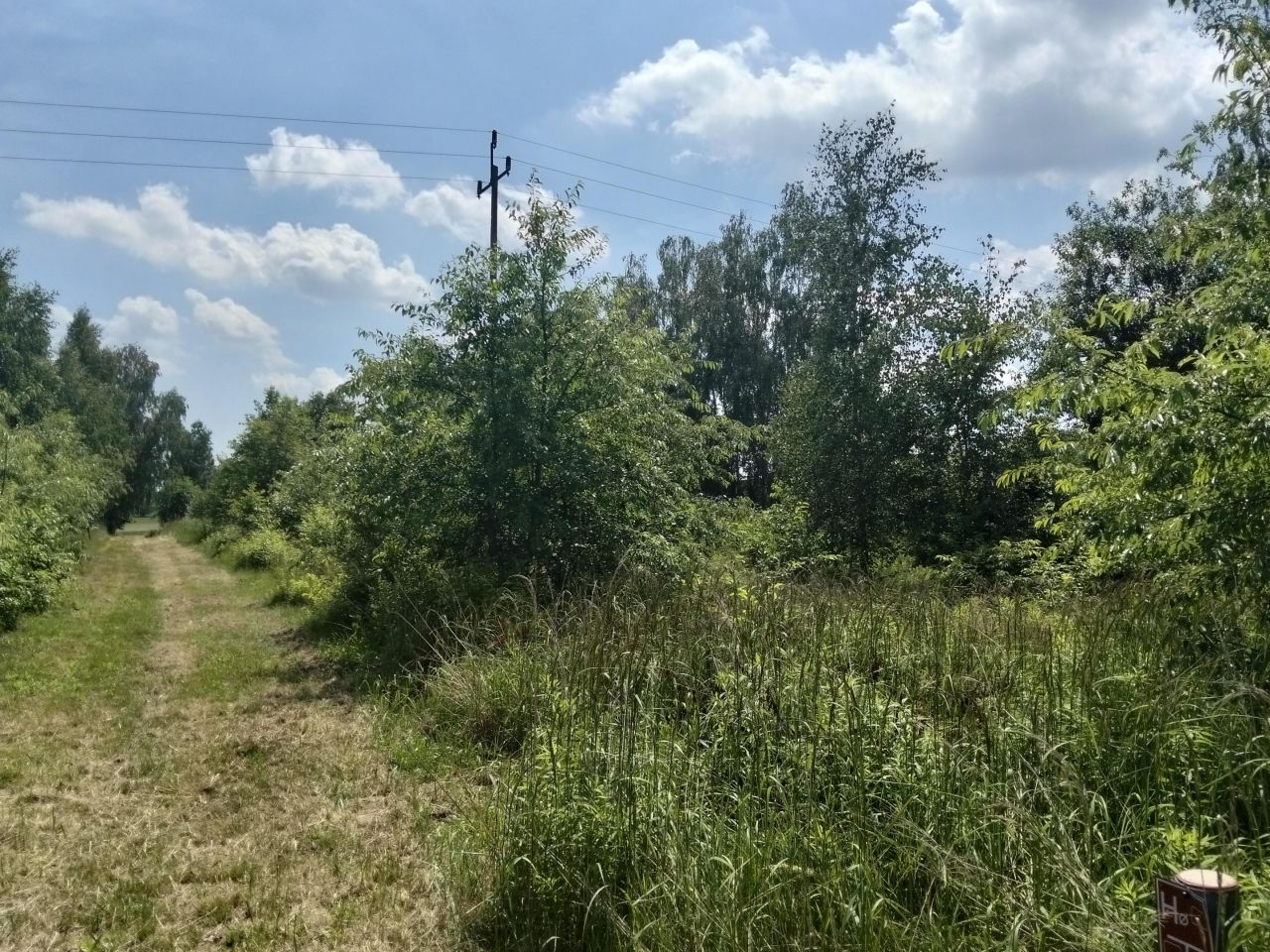 Działka budowlana Józefów, Józefów. Zdjęcie 4