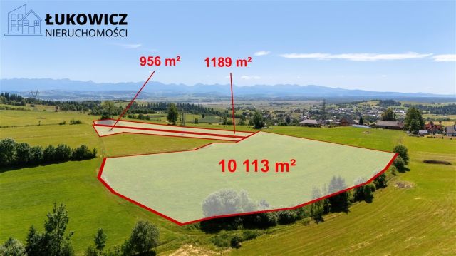 Działka leśna Pieniążkowice. Zdjęcie 11