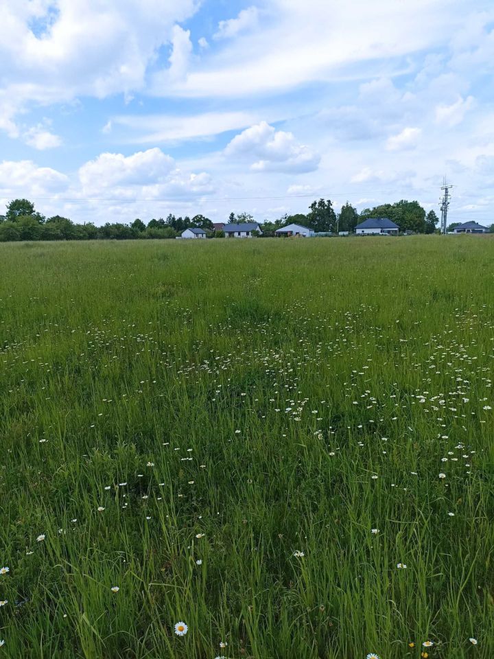 Działka rolno-budowlana Zabrodzie. Zdjęcie 3