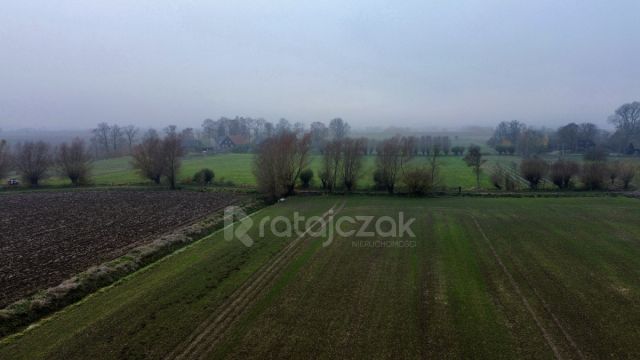 Działka budowlana Drewnica, ul. Wierzbowa. Zdjęcie 8