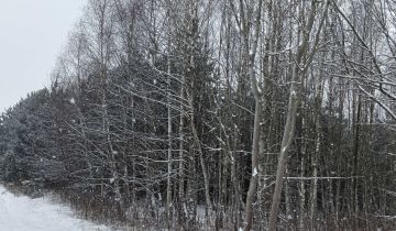 Działka leśna Kępie