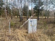 Działka Tłumy. Zdjęcie 4