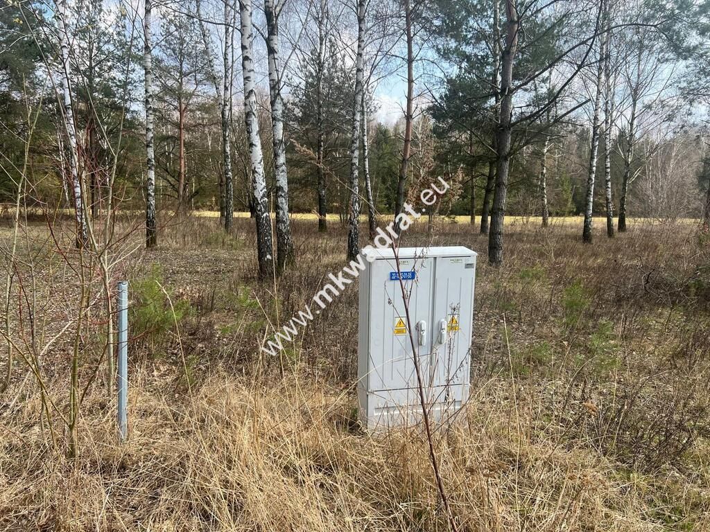 Działka Tłumy. Zdjęcie 6