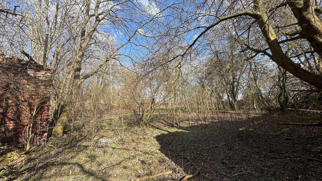 Działka rolno-budowlana Biadacz, ul. Kozłowicka. Zdjęcie 5