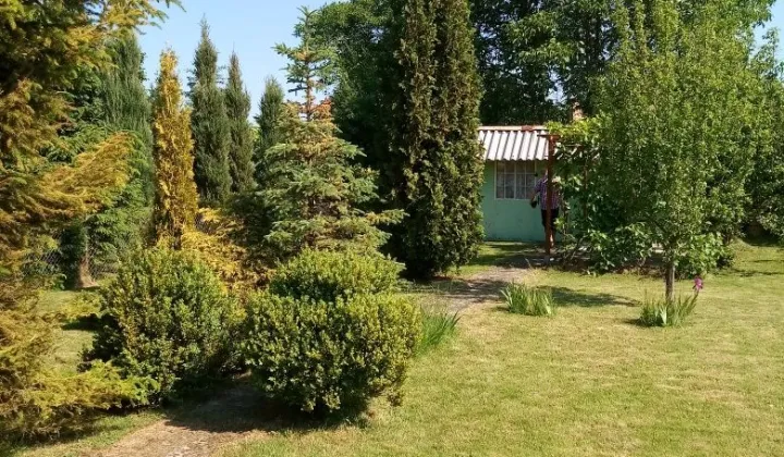 Działka rod Szczecin Centrum