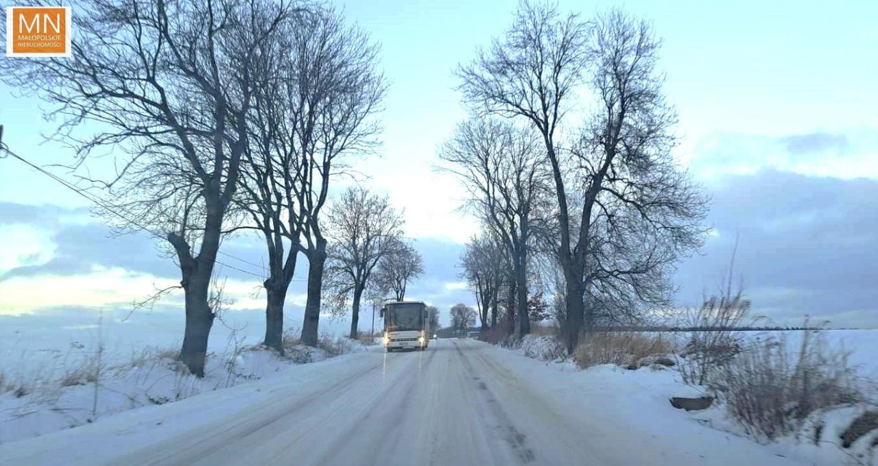 Działka siedliskowa Piotrowice. Zdjęcie 10