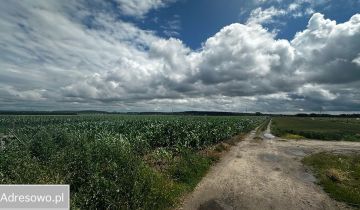 Działka Walerianowo, ul. Klonowa