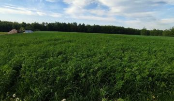 Działka budowlana Mzyki, ul. Polna
