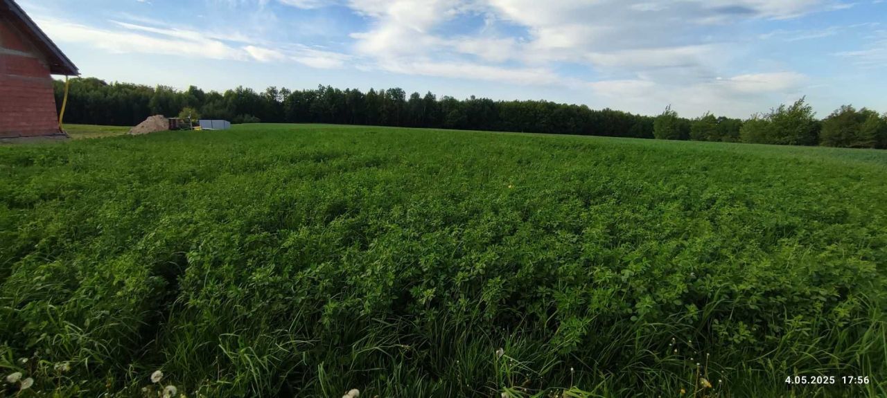 Działka budowlana Mzyki, ul. Polna