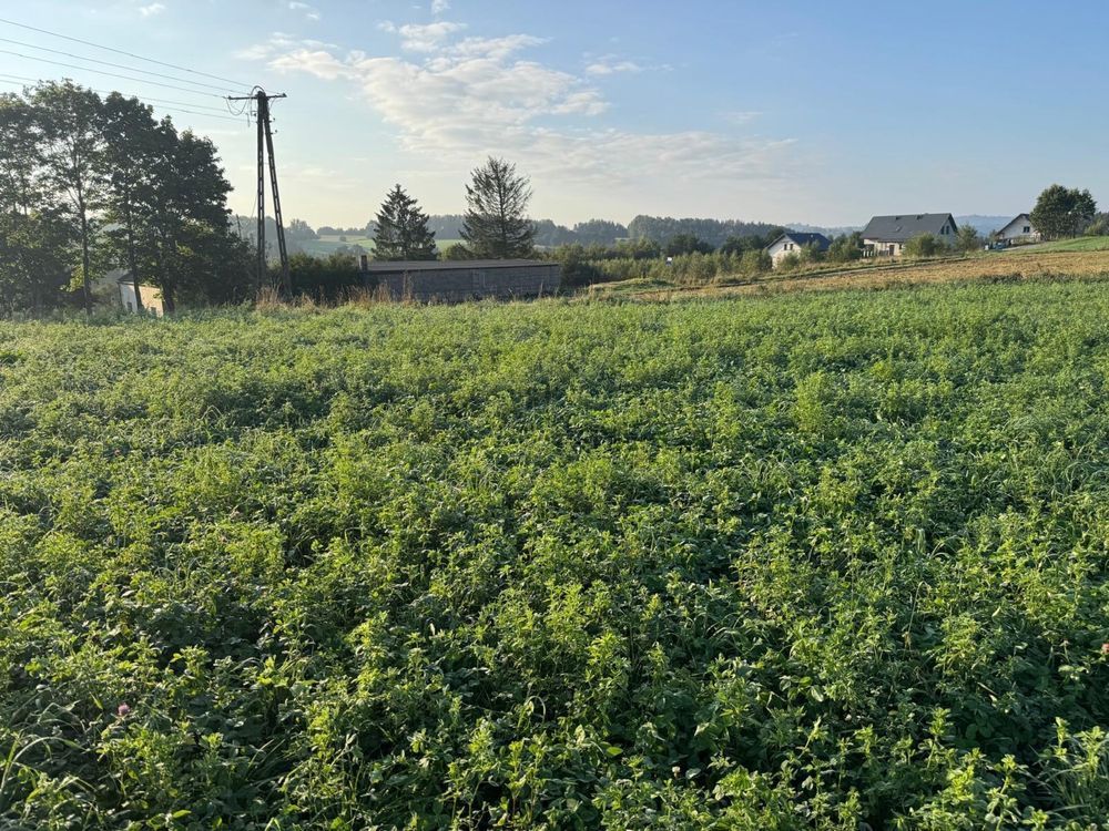 Działka budowlana Ramleje. Zdjęcie 6