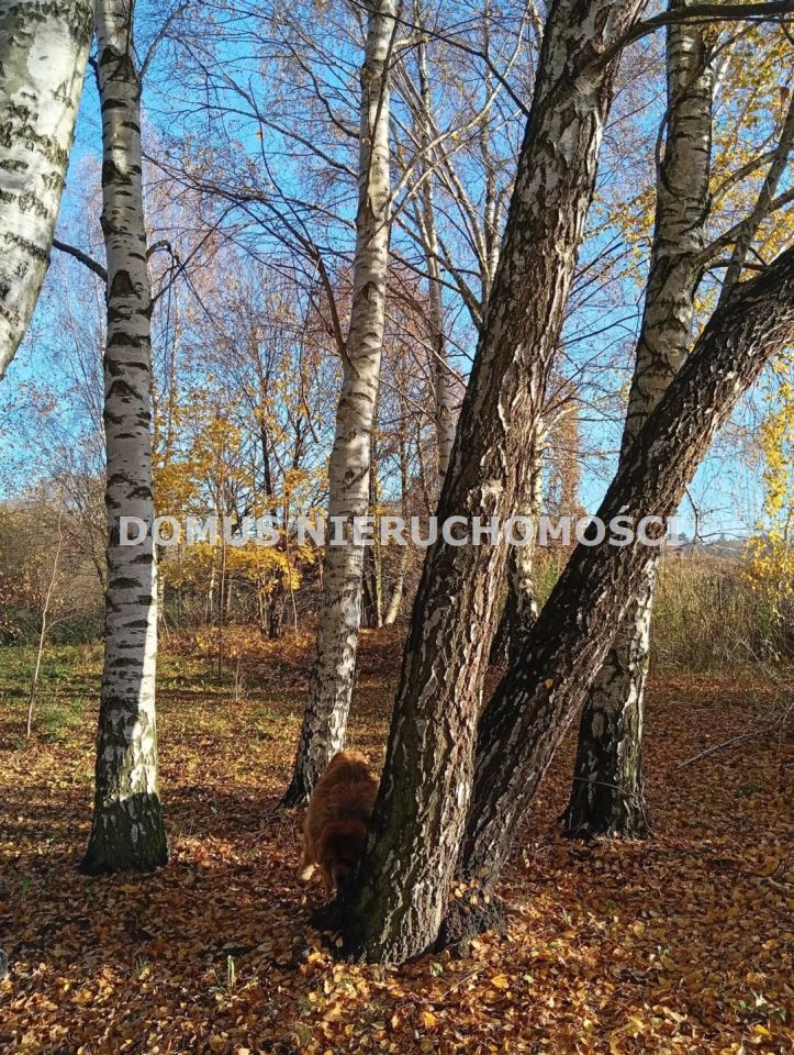 dom wolnostojący, 5 pokoi Piotrków Trybunalski. Zdjęcie 16