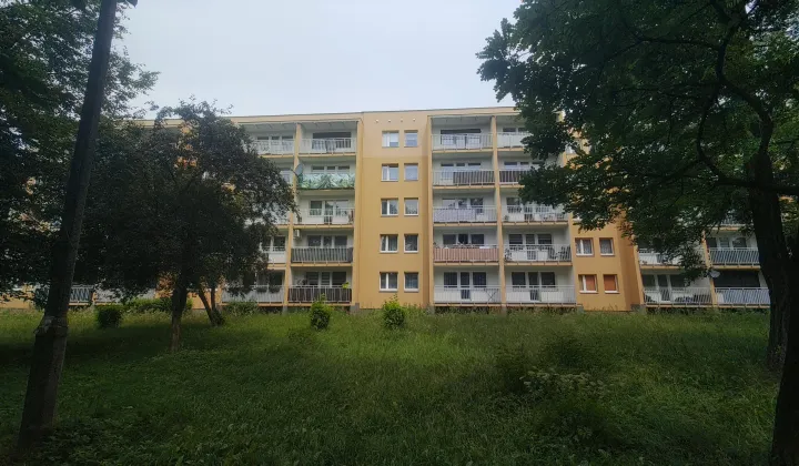 Mieszkanie 2-pokojowe Zabrze Zaborze, ul. Wolności